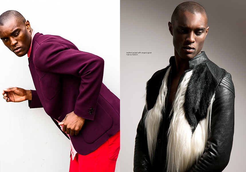 curtis-r_smodels04